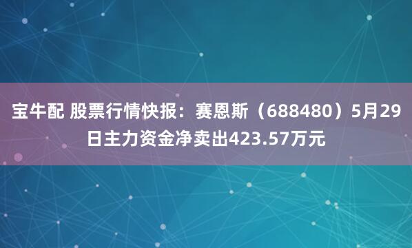 宝牛配 股票行情快报：赛恩斯（688480）5月29日主力资金净卖出423.57万元