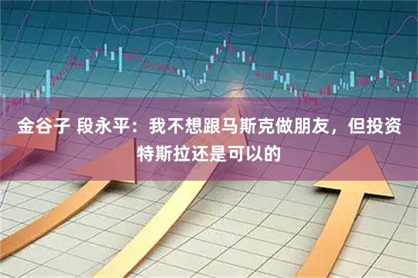 金谷子 段永平：我不想跟马斯克做朋友，但投资特斯拉还是可以的