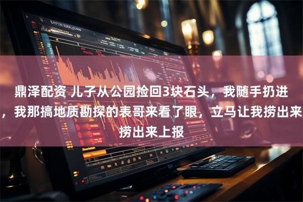 鼎泽配资 儿子从公园捡回3块石头，我随手扔进鱼缸，我那搞地质勘探的表哥来看了眼，立马让我捞出来上报