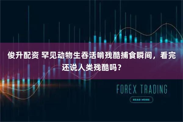 俊升配资 罕见动物生吞活啃残酷捕食瞬间，看完还说人类残酷吗？
